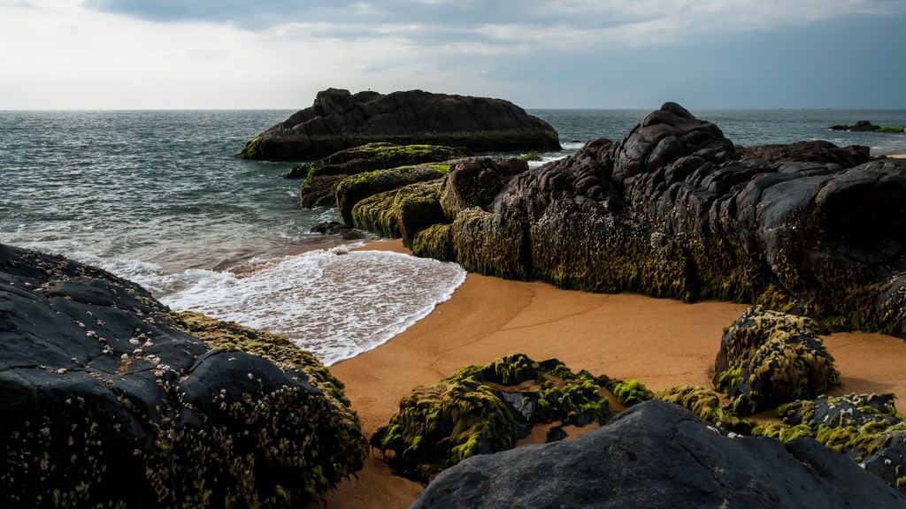 kerala tour packages