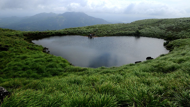 wayanad tour packages