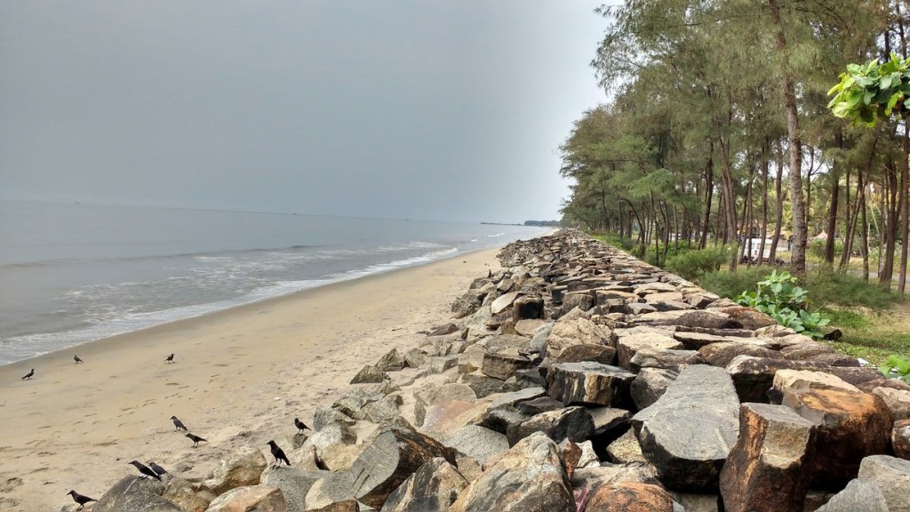 kerala tour packages