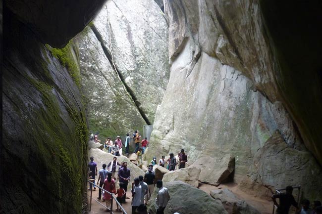 wayanad tour packages