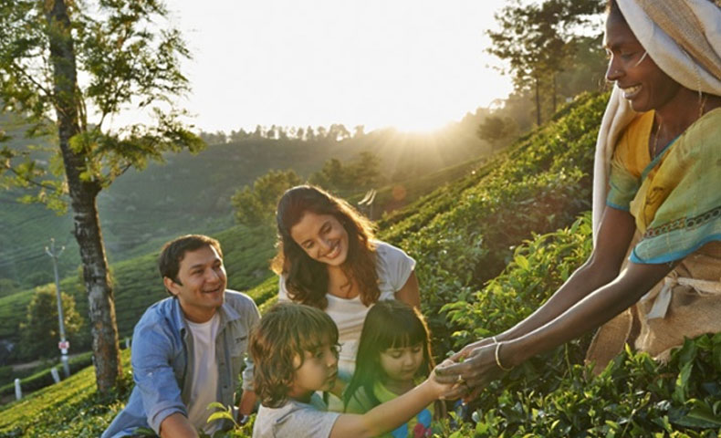 kerala tour packages for family