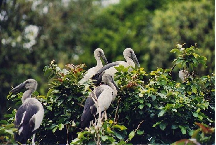 wayanad tour packages