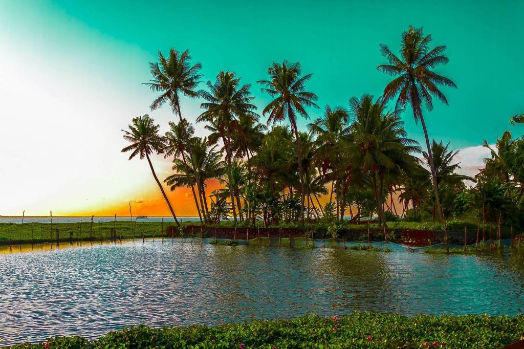 alappuzha tour packages