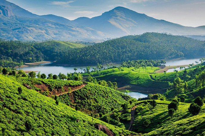 kerala honeymoon packages