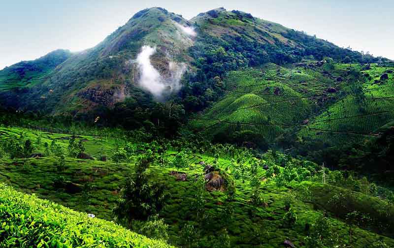 thekkady tour packages