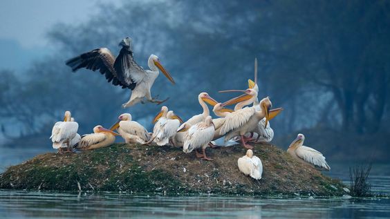 kerala tour packages